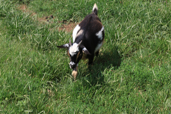 IMG_0300