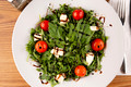 Arugula_20251108-02