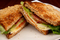 BeanCoveElizabethtown_BLTSandwich_3