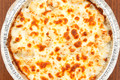 BigCityPizzaDanville_EllisIslandChickenAlfredo_3 WEB LARGE