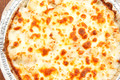 BigCityPizzaDanville_EllisIslandChickenAlfredo_2 PRINT