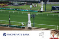 PNC26--5