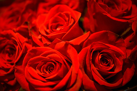 DSC_2827