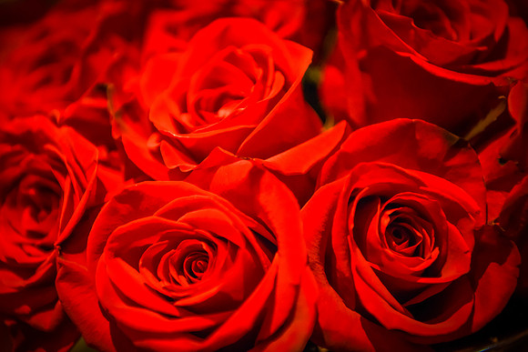 DSC_2827