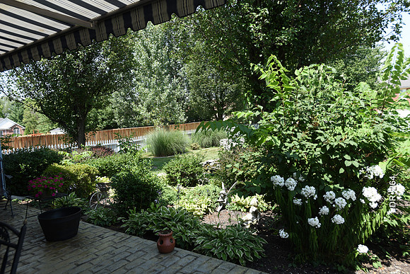 dr_264_4069