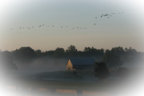 0093_LexKY
