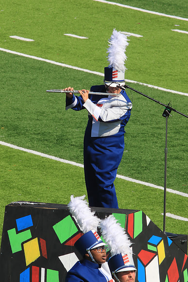 bc-335
