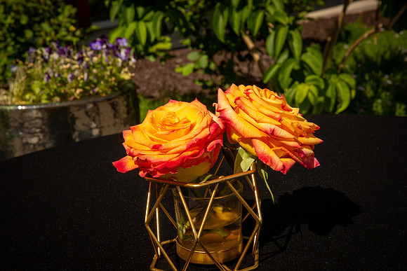 IMG_4340