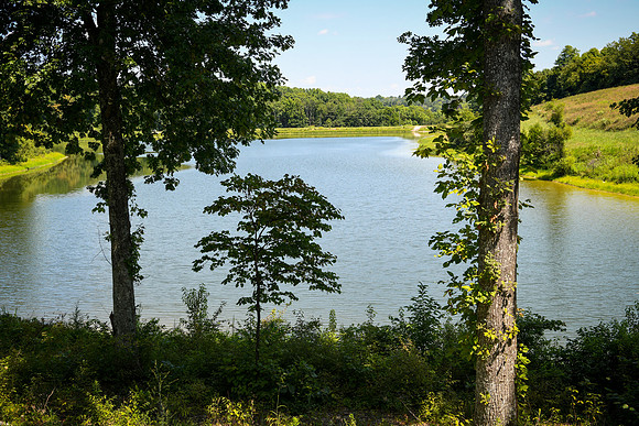 DSC_5177