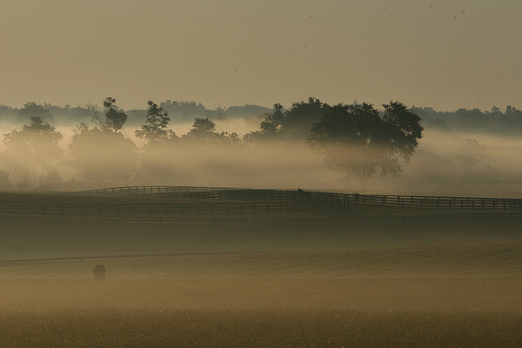 0137_LexKY